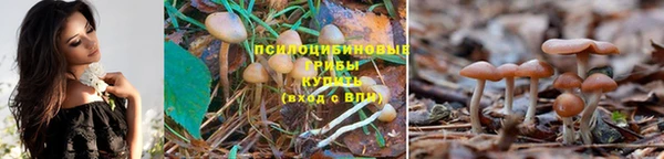 соль курить ск Инсар