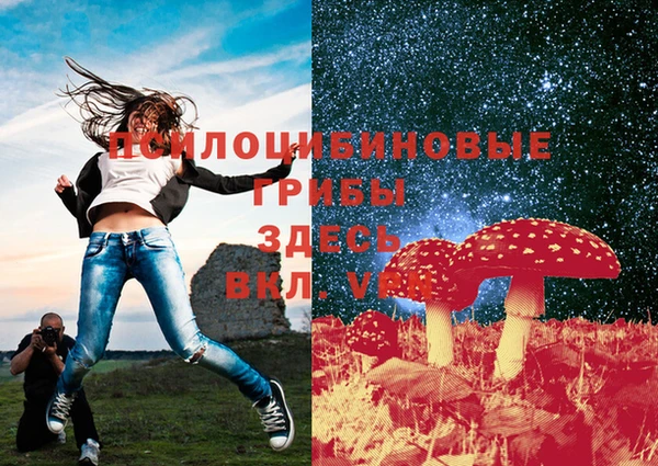 эйфоретик Иннополис